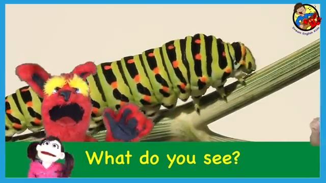 What Do You See_ Song _ Bugs and Insects