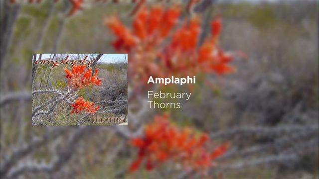 [Rock] Amplaphi - February