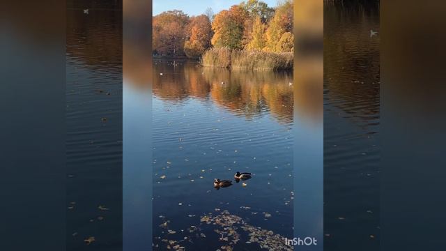 "Современное искусство" "Золото Петербурга"