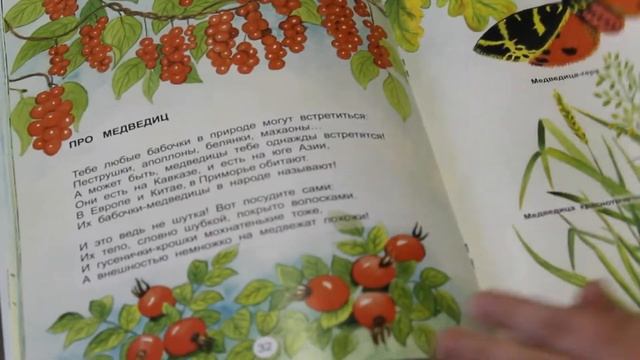 Бабочки, стрекоза, природа, цветы, ягоды