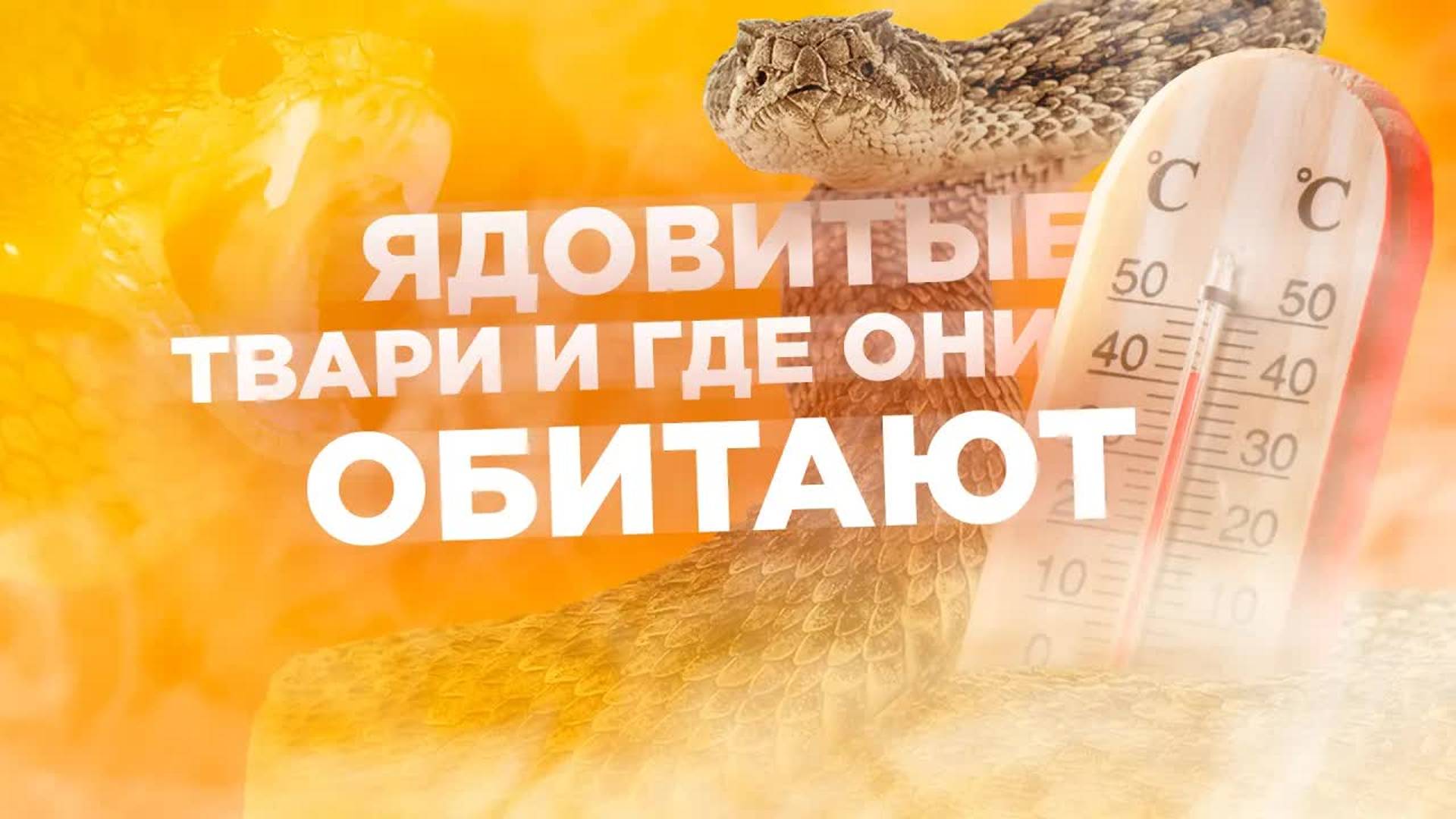 [Veritasium] Ядовитые твари и где они обитают