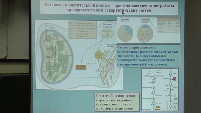 14. Физиология клетки. Физиология растений I - Носов А. М. Teach-in.