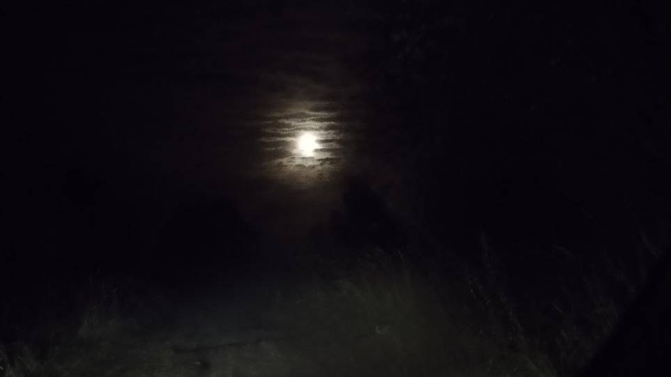 Влог. Наша осенняя дача