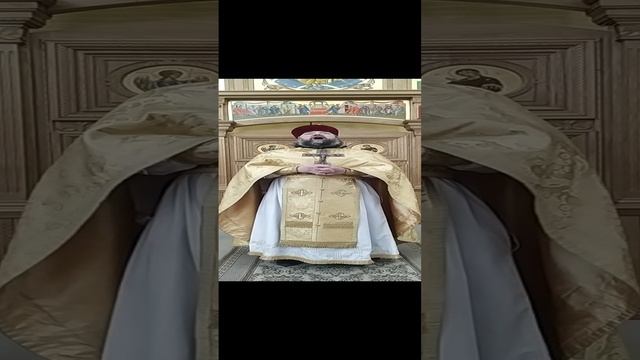 Воскрешение сына наинской вдовы. О воспитании внутреннего человека. Проповедь о. Андрея. 20.10.24