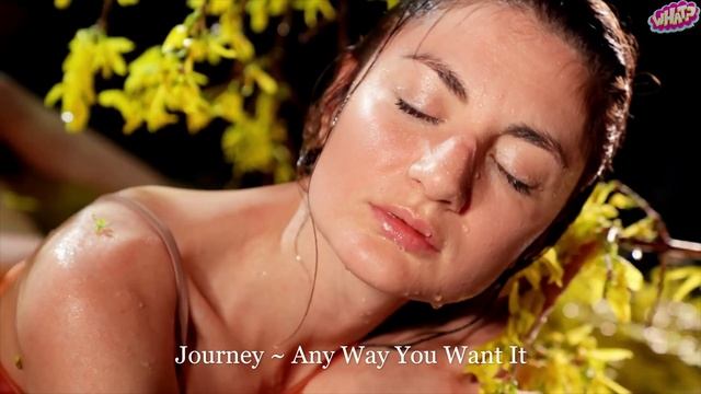 Journey ~ Any Way You Want It