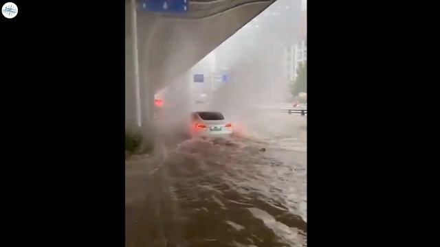 Tesla Model 3 CONQUERS Deep Floodwaters - One Of The Safest Cars In The World!