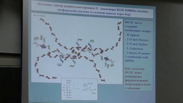 12. Клеточная стенка, плазмалеммы 1. Физиология растений I - Носов А. М. Teach-in.