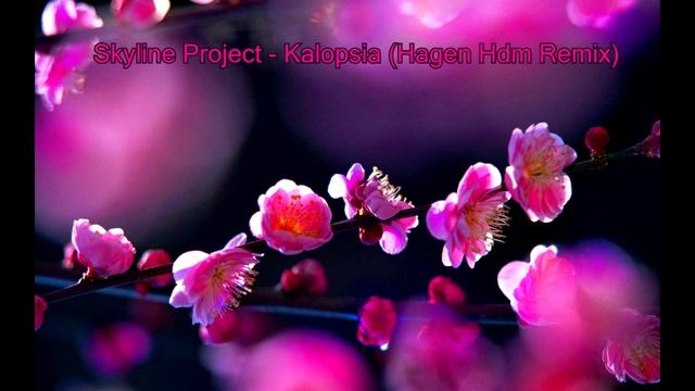 Skyline Project - Kalopsia (Hagen Hdm Remix)