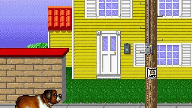 Beethoven The Ultimate Canine Caper (SNES) Gameplay