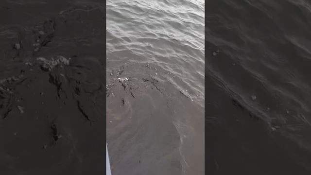 Классика рулит.