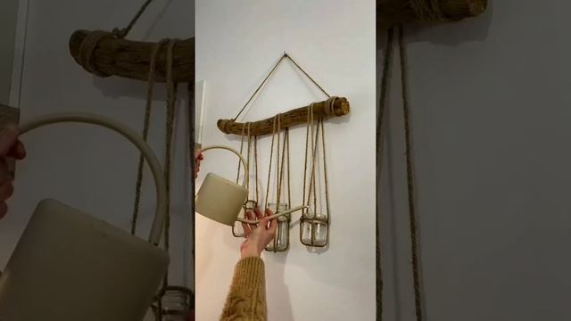 Банки + веревка + коряга = дизайнерское решение 👍✅
