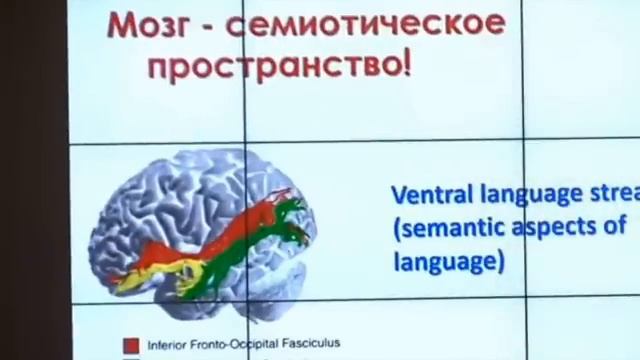 Изучение мозга в XXI веке, к чему ведет равнодушие  Татьяна Черниговская работа мозга и ии .