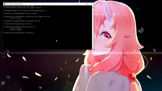 TLS OpenVPN Windows