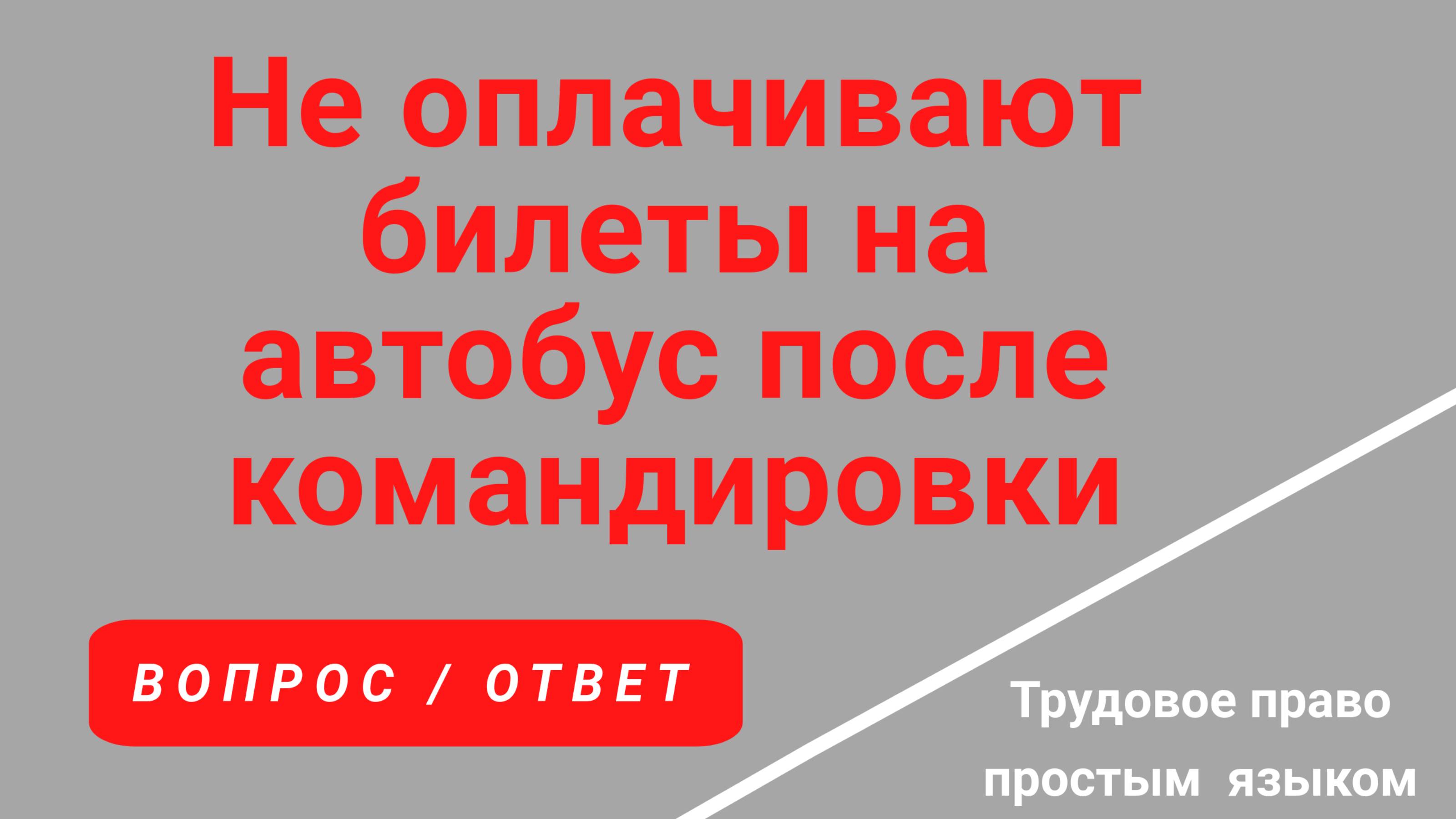 Командировка. Не оплачивают билеты на автобус, правомерно ли. Мои права. Консультация юриста