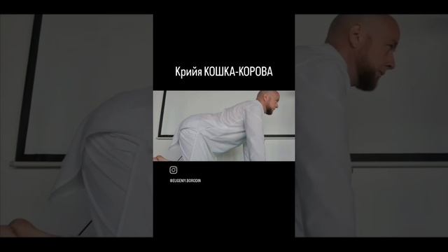 КРИЙЯ КОШКА-КОРОВА