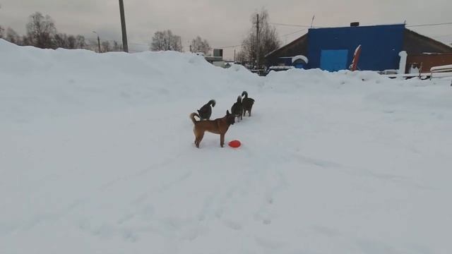 Прогулка в городе