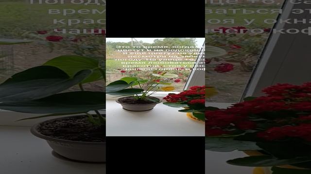 Так начинается осень