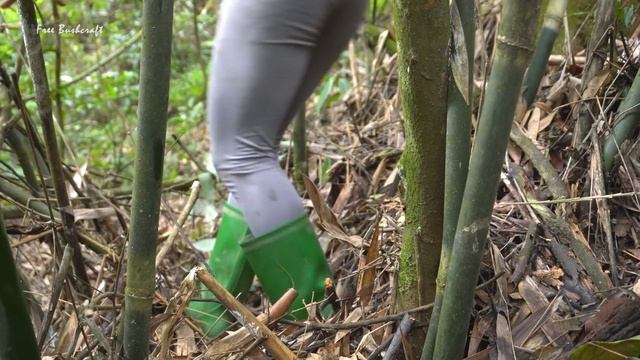 30 Days Harvest Giant Ripe Jack fruit, Ganoderma mushrooms go to market sell || Free Bushcraft