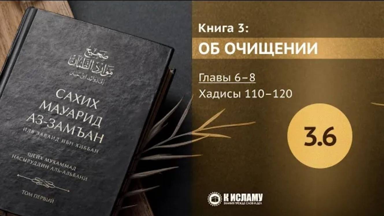 Главы 3.6–3.8. О подмывании и подтирании. Хадисы 110–120. Сахих Мауарид аз-Замъан.