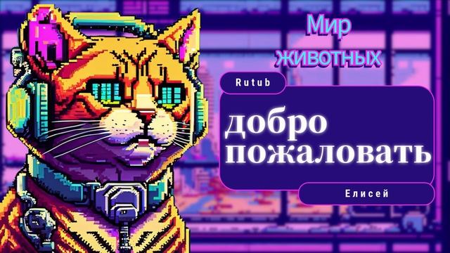 добро пожаловать на мой канал