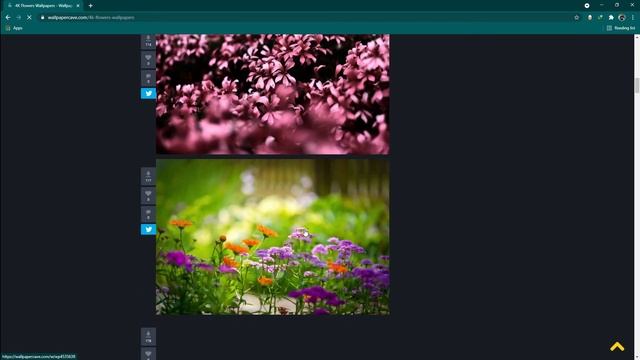 How To Dowload 4K 8K Wallpaper For Android / Computer -FREE !!  🔥 🔥 🔥 🔥