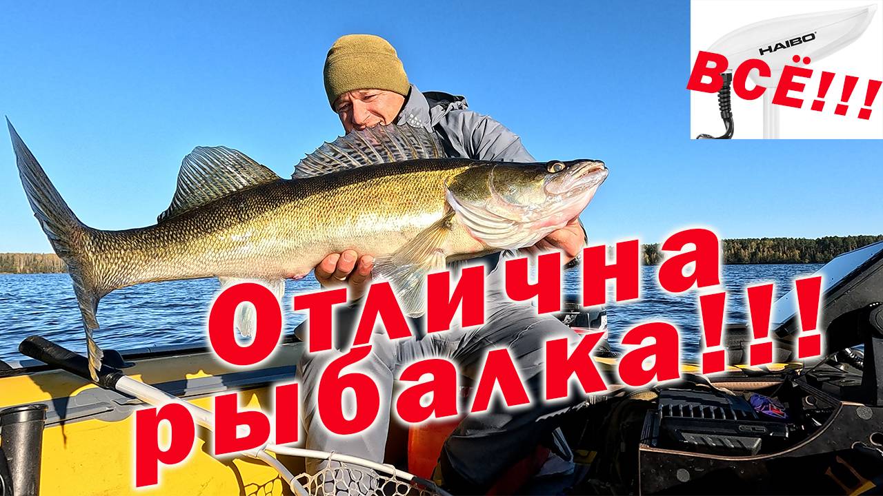 ОСЕННИЙ КЛЁВ СУДАКА!!! МОНСТРА НЕ ПРОСЁК..... УСТАНОВКА И КАЛЛИБРОВКА Minn Kota Terrova!!!