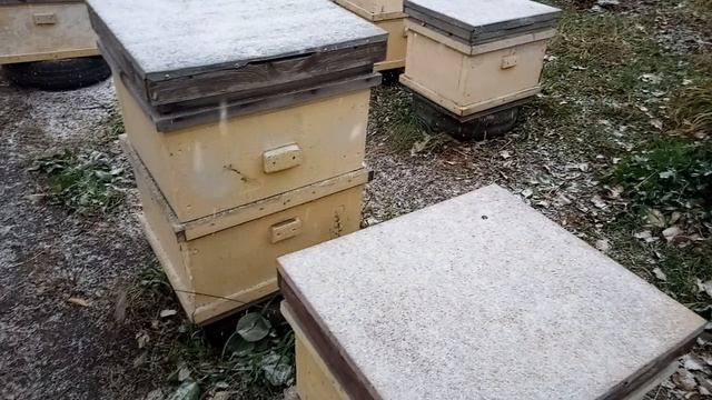 11.10.2024 г. А вот и снег!