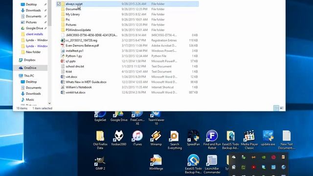 Help me fix Windows 10 bug please