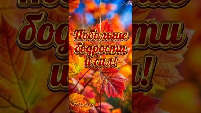 Пожалуйста, поддержите мой труд - поставьте лайк и подпишитесь на мой канал с открытками! Я буду ...