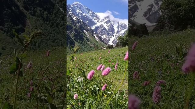 Озеро Донгуз-Орун-Кель, Приэльбрусье.