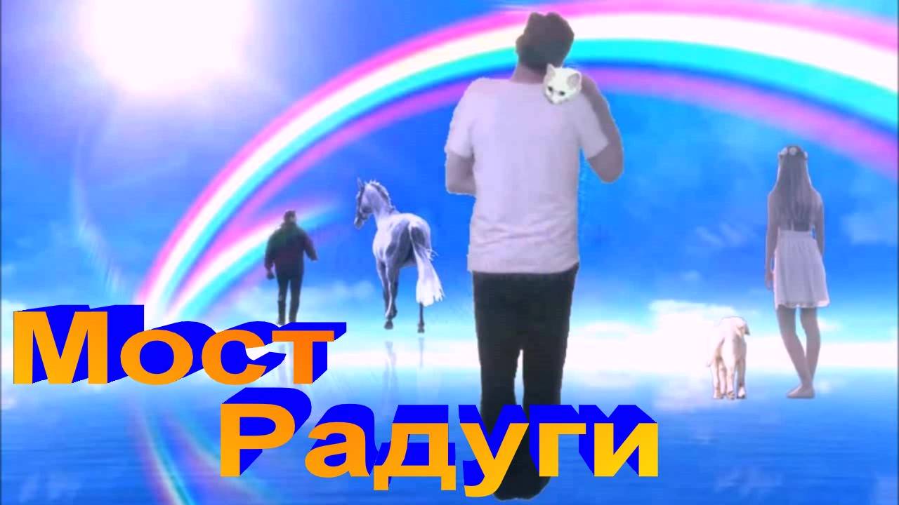 Мост Радуги/Сказание о любовной надежды с верой, обязательной последующей встречи с нашими любимцами