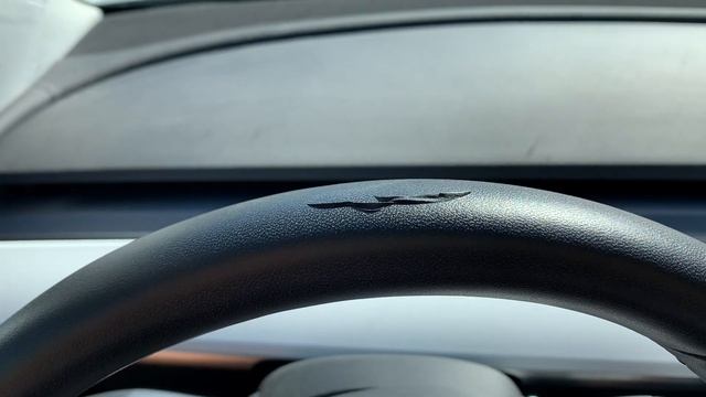 Tesla Model 3 steering wheel bubbling/peeling