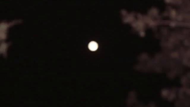 Between the moon and my window