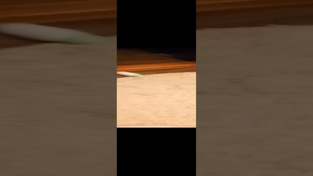 Пробежка Муси! Строго 10 кругов..