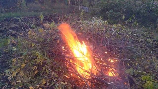 🔥 Видео-Огонь  🔥 #огонь