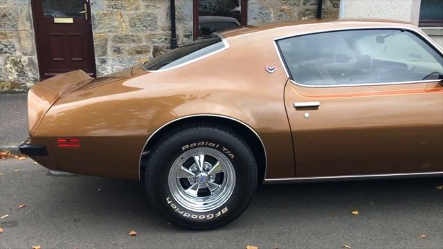 Kulture Driver - David 1974 Pontiac Firebird