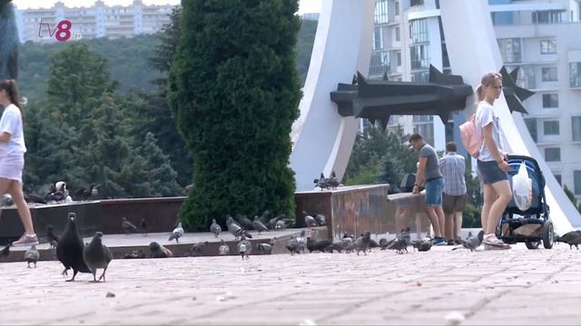 Власти обсуждают вопрос, но выдвигают ряд требований. Родители готовы.