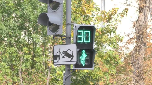 Светофор улица пешеходный переход футаж trafficlights footage