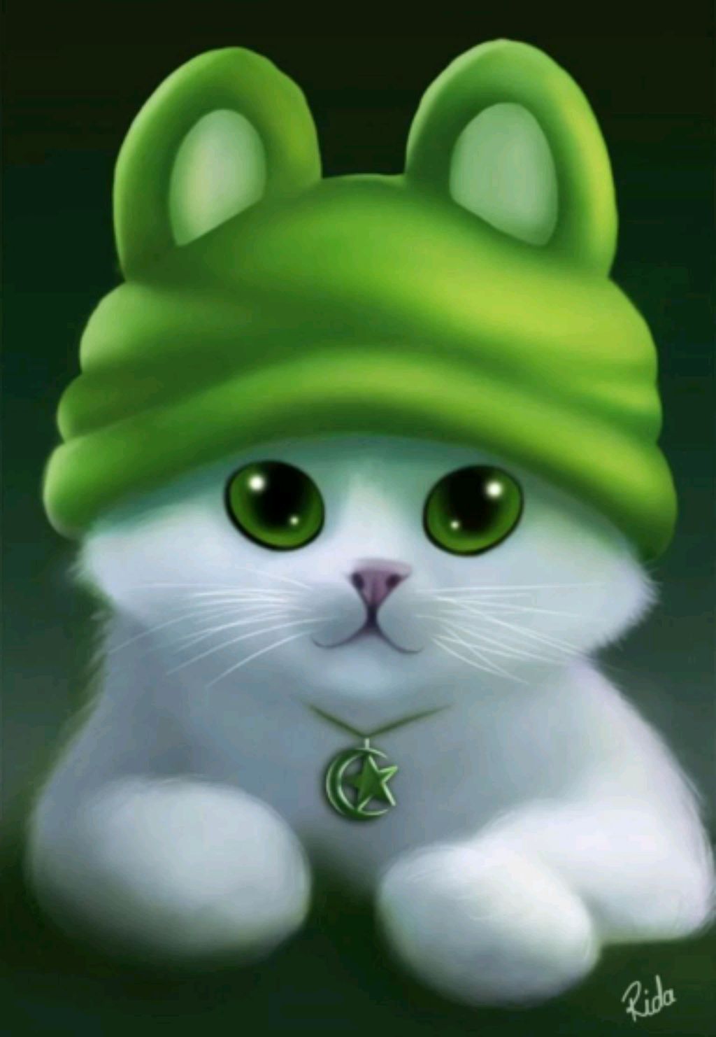 аниме котик