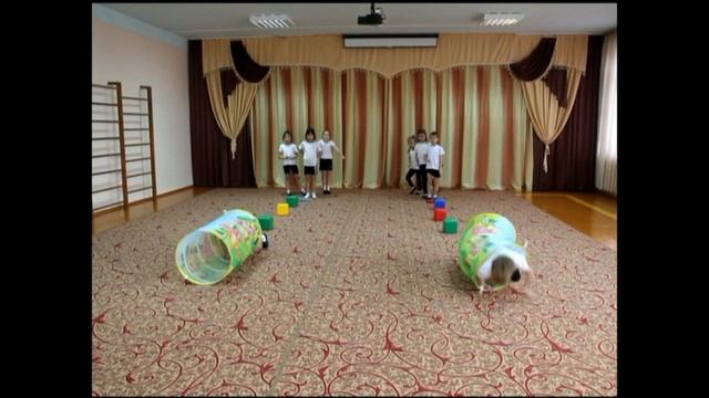 Спортивный видеоролик