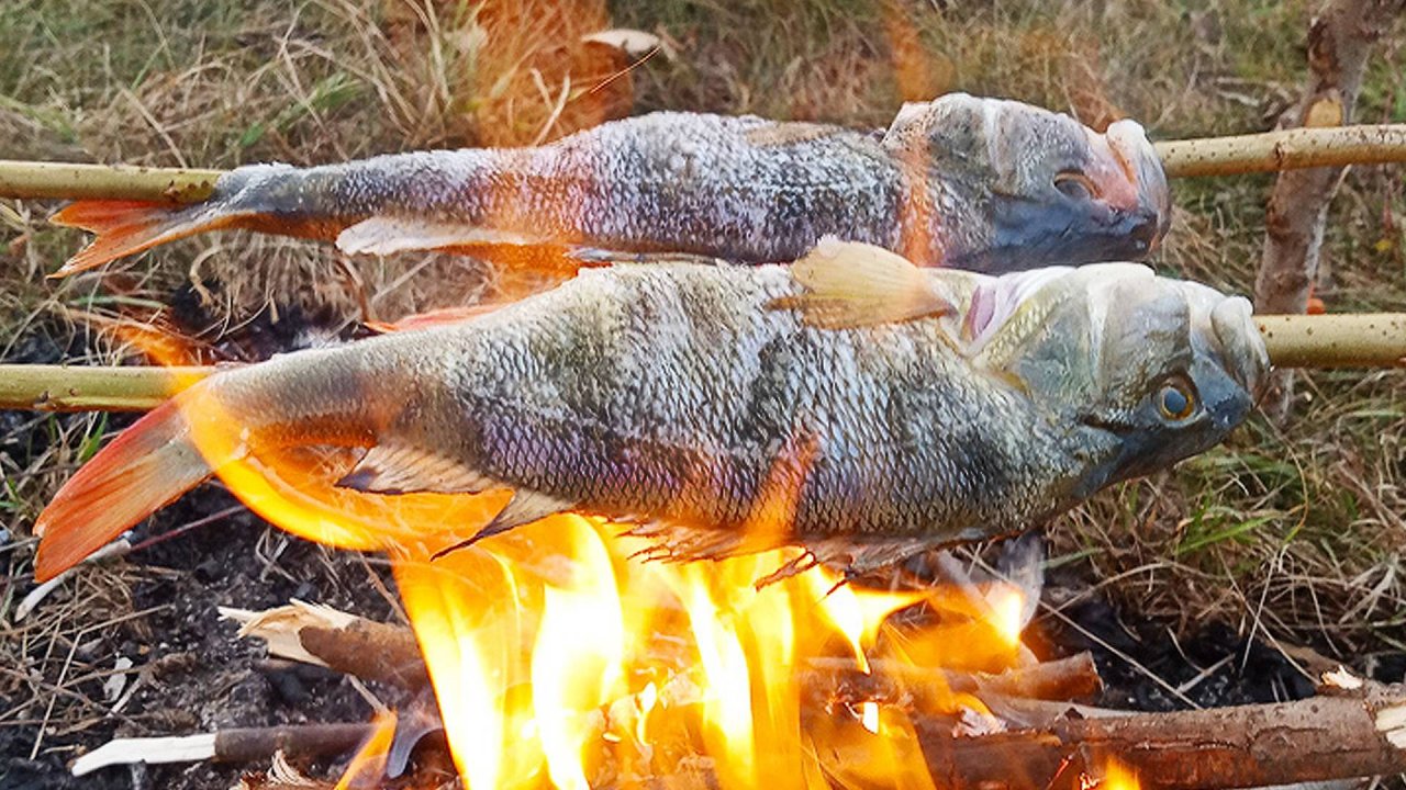 ЖАРЮ ОКУНЕЙ КАБАНОВ. 3 дня на реке: стоянка с палаткой, рыбалка