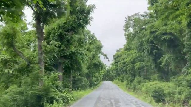 Зелёный остров- Русский остров ... Евгений Лощилов