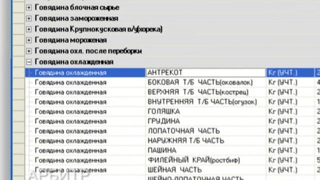 Презентационный фильм «Программно-аппаратный комплекс «АРБИТР». 2006 г.