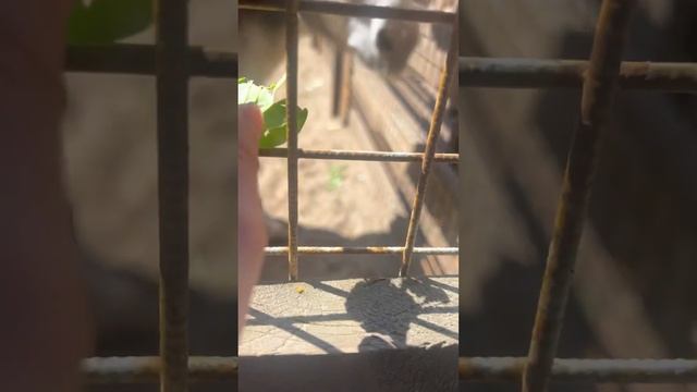 Открывает новую рубрику «Прогулки по городу». Будем вам показывать Санкт-Петербург и Москву.