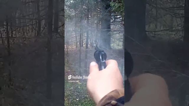 Пугаю зверюшек