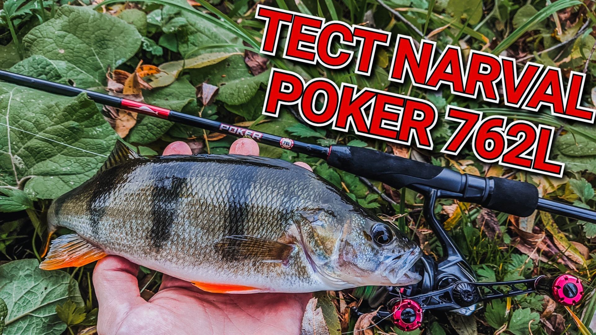 первый тест Narval poker 762L | Хорош или плох бюджетный спиннинг для джига от NARVAL | рыбалка 2024