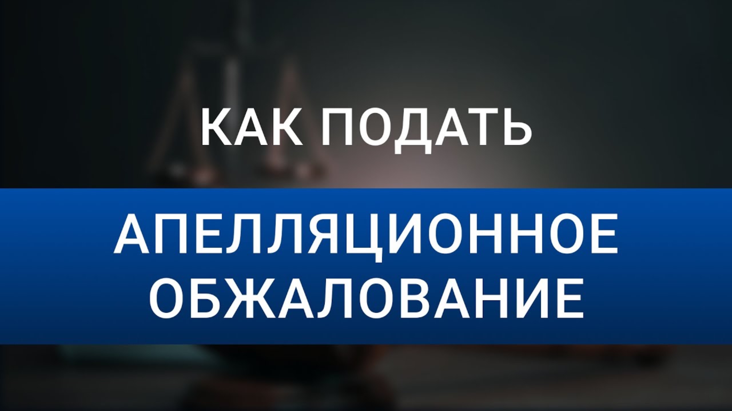 Как подать апелляционное обжалование | Что такое апелляция