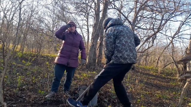 ОСЕННЯЯ ПОСАДКА ЛУКОВИЧНЫХ ЦВЕТОВ КРОКУСЫ,НАРЦЫСЫ,ТЮЛЬПАНЫ