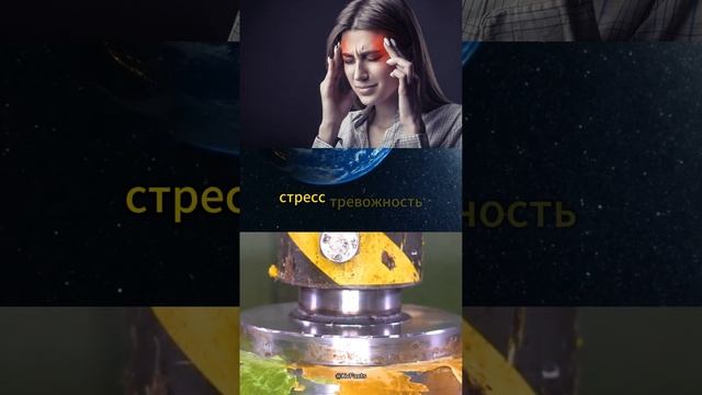 Интересный факт ❘ часть 52 #shorts #youtubeshorts #short