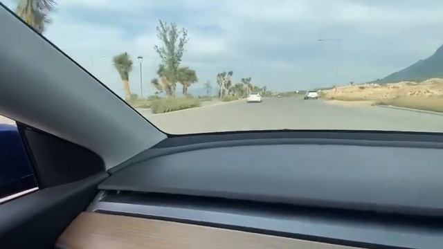 Tesla Model 3 Performance  vs Tesla Model Y Long Range.  0 a 100 km/h (ambos 2021)